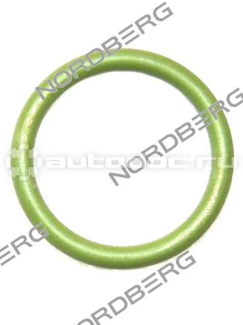 NORDBERG Прокладка (19.6*2.62) для 4638E