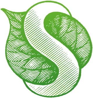 SYNERGETIC